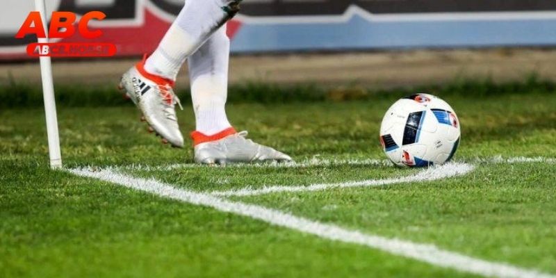 Người chơi theo dõi bảng cá cược thể thao trực tiếp trên điện thoại