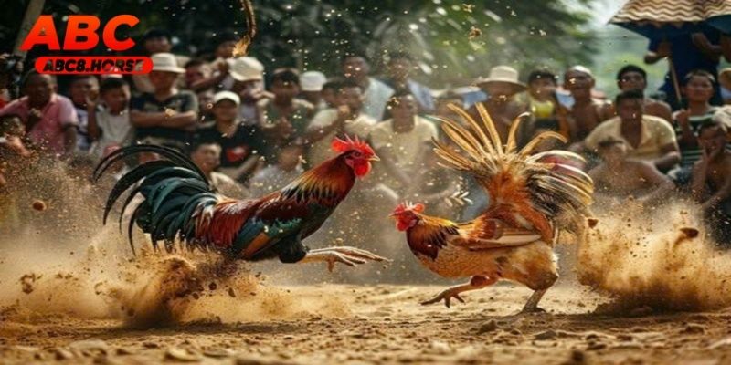 Trận đá gà sv128 tại abc8 với chiến thuật thông minh